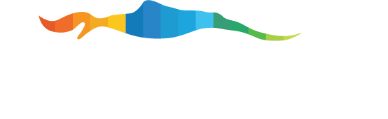 Infographics Lab logo